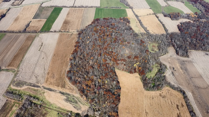 Aerial view of wooded effigy mounds, Lebanon, Wisconsin (Courtesy Chuck Werth)