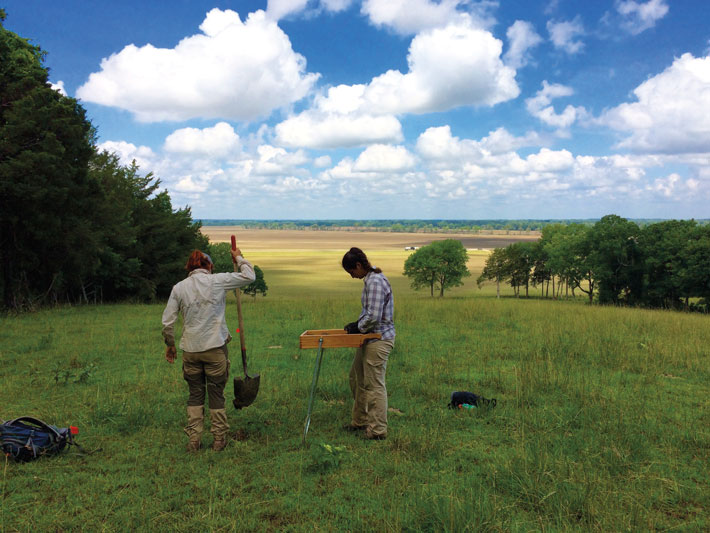 Mississippi Archaeologists Site