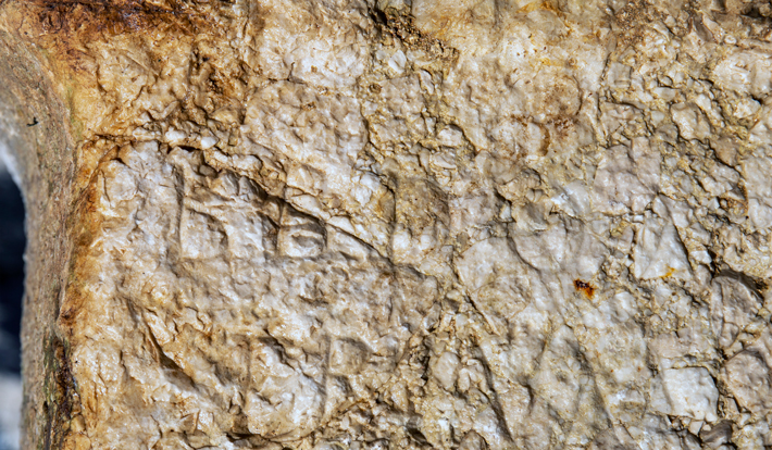 Detail of the left side of the first line of the inscription on Calpurnia’s third altar. (Photo: Nikola Cesarik) 