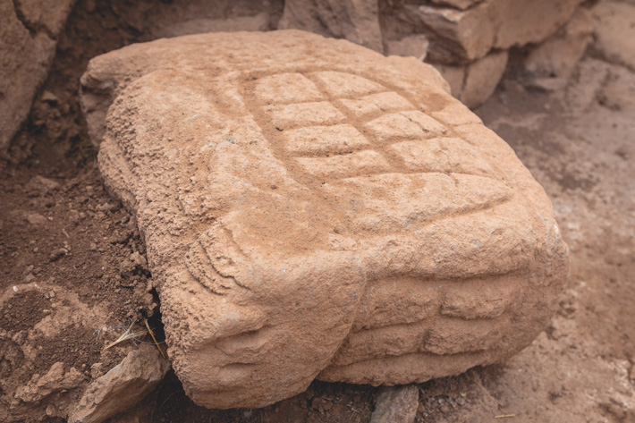 Karahantepe Neolithic Turkey Animal Structures Wild Boar