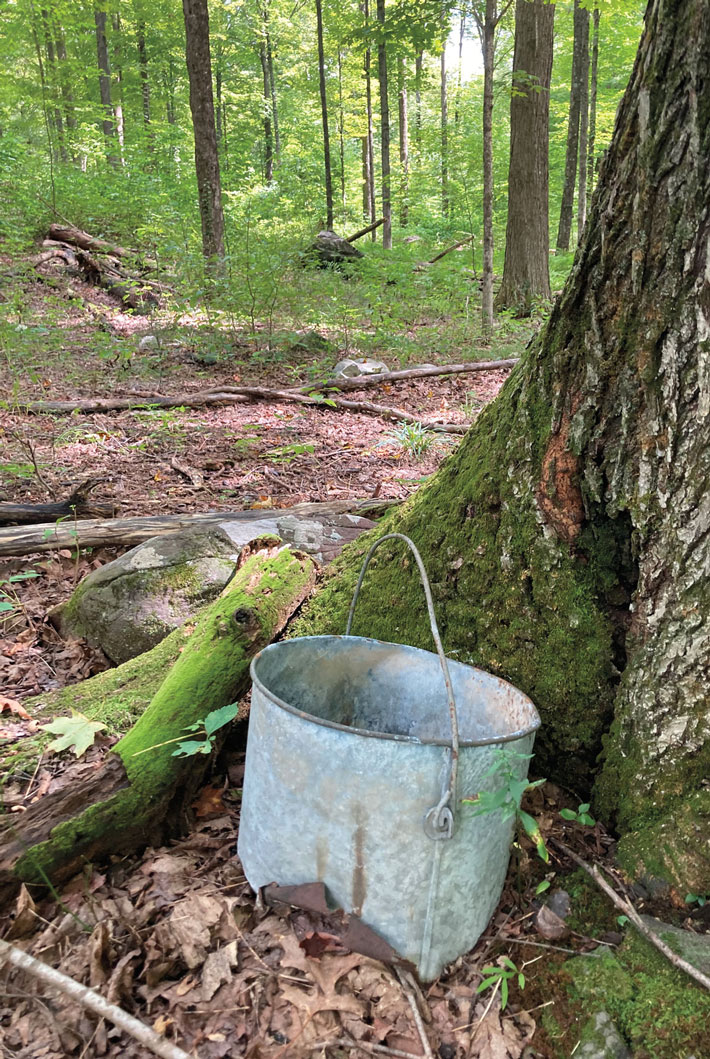 Catskills Olive Metal Bucket